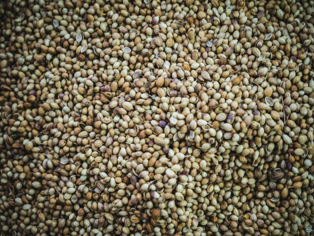 brown beans